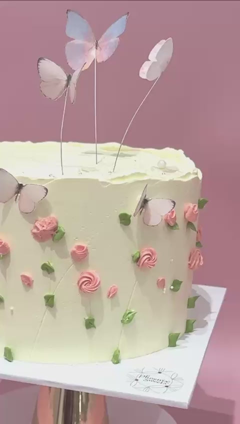 Butter Cream Cake - Whimsical Garden Cake (2 tiers)
